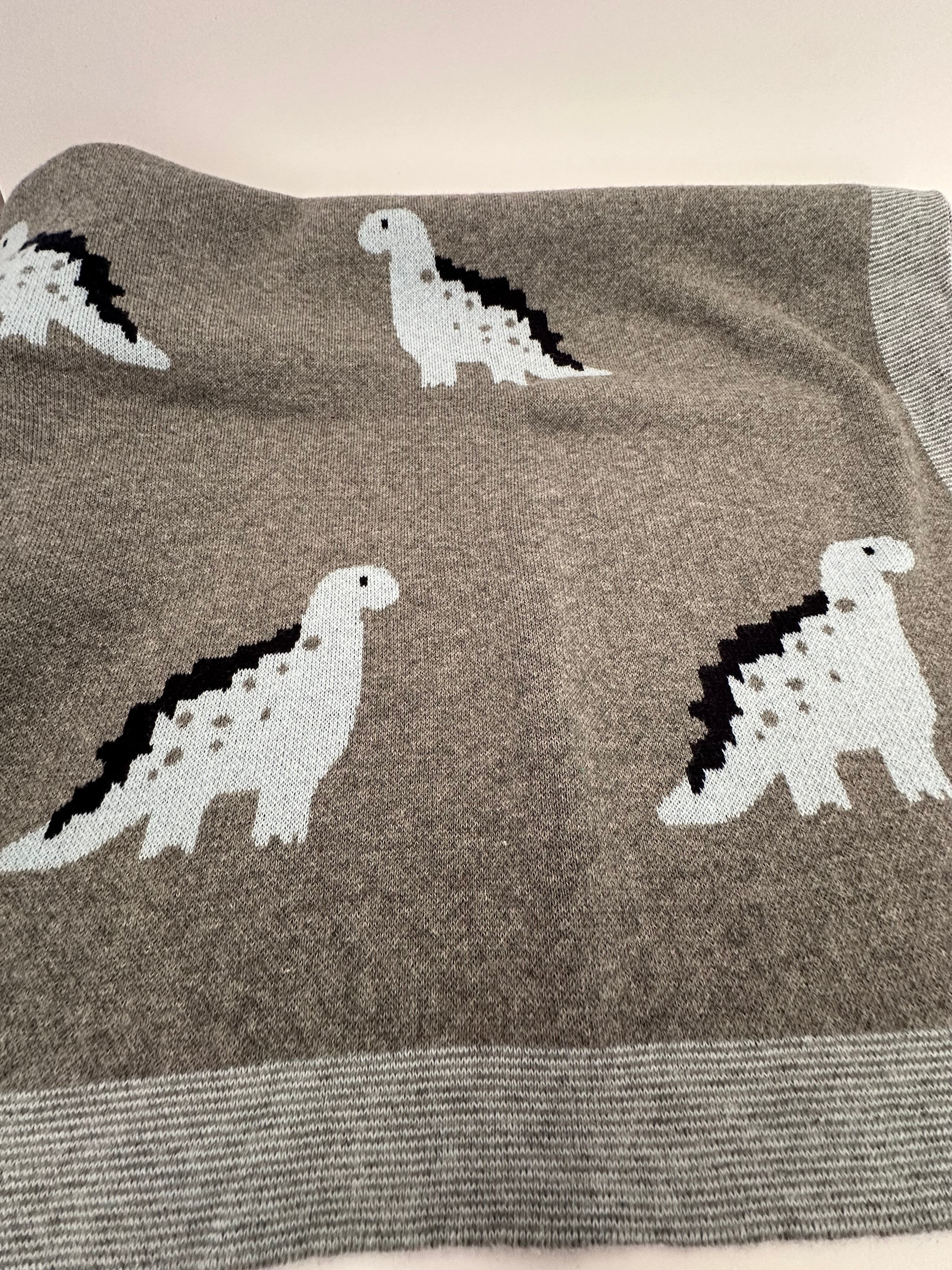 Baby Dinosaur Blanket 100 Cotton The Embroidery Burrow